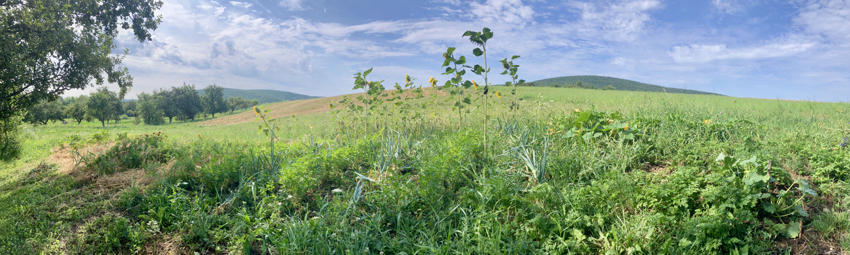 Read more about the article Motivovaná včerajškom pokračujem